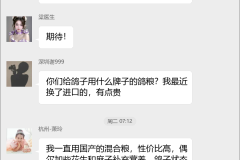 信鸽赛鸽比赛群