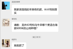 绿茶种植交流群