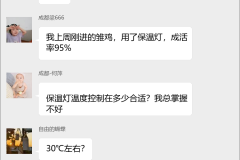 养鸡技术交流群