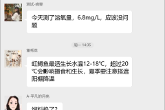 虹鳟鱼养殖技术群