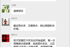 茄子种植技术交流群