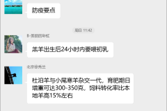 肉羊养殖技术交流群