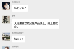 火龙果种植技术群