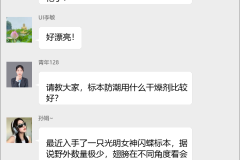 蝴蝶标本收藏群