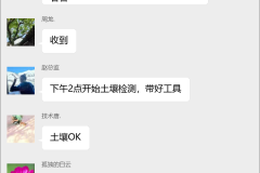 园林绿化工程群