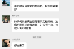 柿子种植技术群