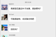 甜瓜种植技术交流群