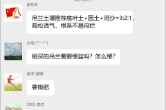 吊兰种植技术交流群