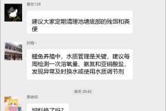 鲤鱼养殖技术群