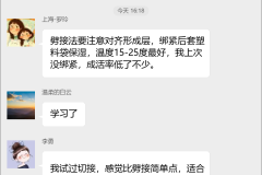 花卉种植栽培群