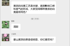 黄茶品鉴交流群