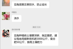 豆角种植技术交流群