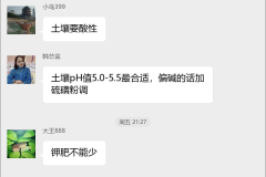 菠萝种植技术交流群