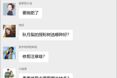 梨种植技术交流群