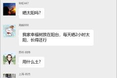 幸福树种植技术交流群