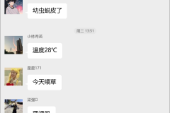 蝗虫养殖技术群