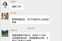 树莓种植技术群