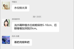 莲藕种植技术交流群