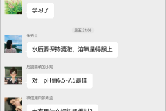 石蛙养殖技术群