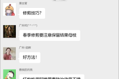 柚子种植技术群