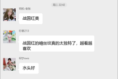 玛瑙收藏交流群