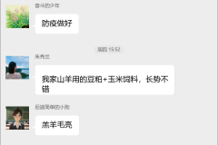 山羊养殖技术交流群