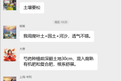 芍药种植技术交流群