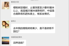 樱桃种植技术交流群