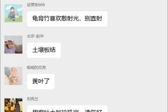 龟背竹种植技术交流群