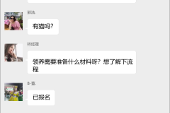 宠物领养救助群