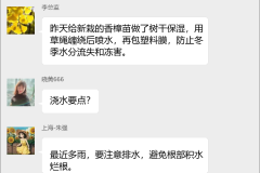 苗木培育经验分享群