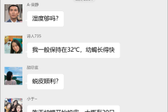 蝎子养殖技术群