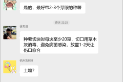 土豆种植技术交流群