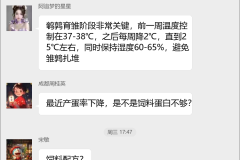 鹌鹑养殖技术交流群