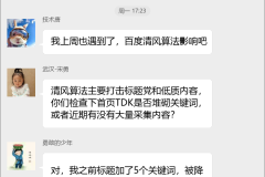 网站SEO诊断群