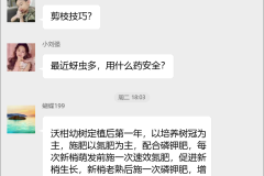 沃柑种植技术交流群