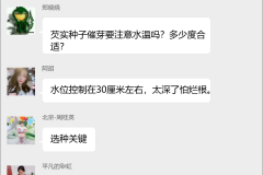 芡实种植技术交流群