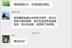 香菜种植技术交流群