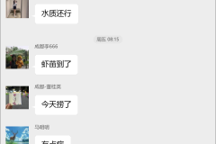 罗氏沼虾养殖群