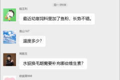 水貂养殖技术交流群