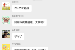 裙带菜养殖技术群