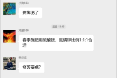 蓝莓种植技术交流群