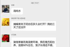 食虫植物种植技术群