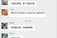 萝卜种植技术交流群