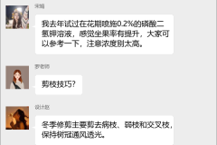 龙眼种植技术交流群