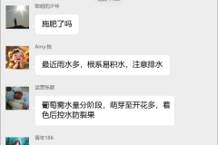 葡萄种植技术群