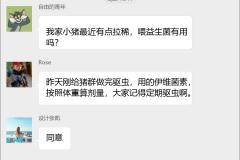 藏香猪养殖交流群