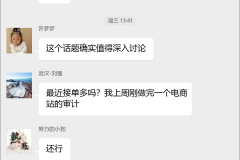 代码审计接单群