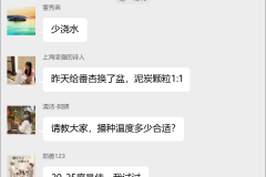 番杏科多肉种植群