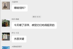 福寿螺养殖技术群